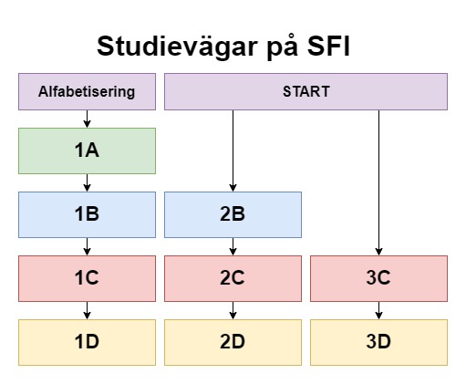 En bild som beskriver de olika studievägarna på SFI