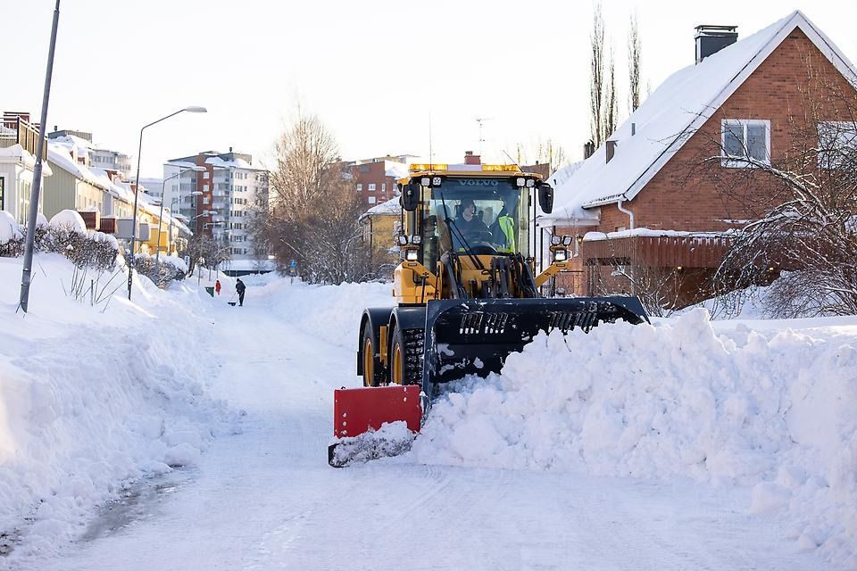 Två traktorer plogar efter varandra.