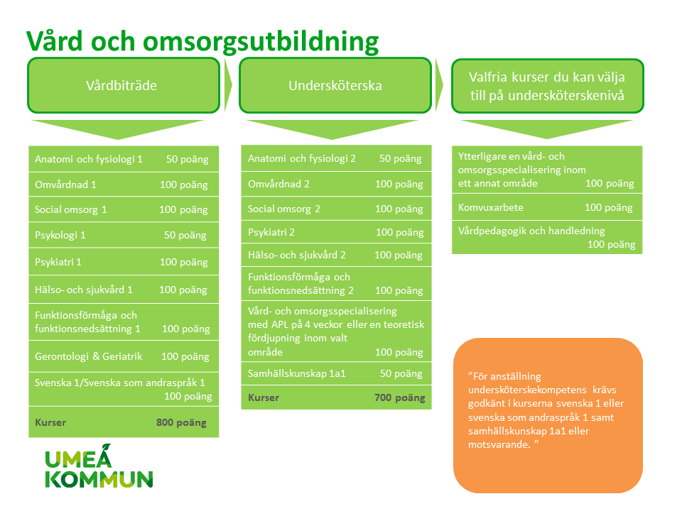 Schematisk bild utbildning