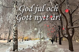 Vintrig gata med rimfrost på och julkulor i träden, med text "God jul och Gott nytt år!"